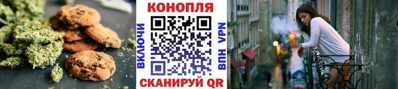 закладка  Приозерск  Canna-Cookies конопля 