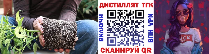 цена наркотик  Приозерск  Дистиллят ТГК жижа 