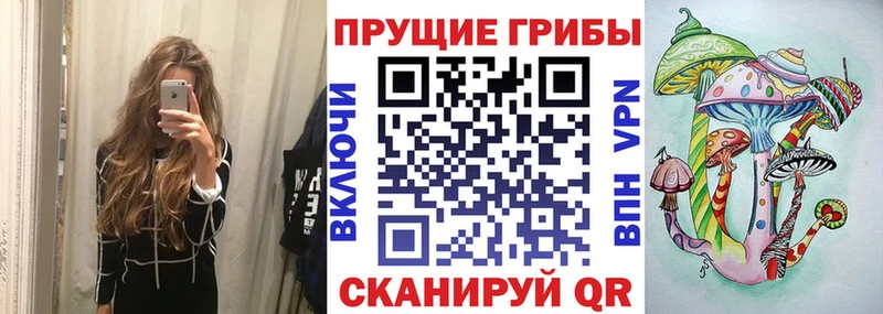 купить закладку  Приозерск  Галлюциногенные грибы Cubensis 